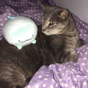 Meet your Posher, Stefanie